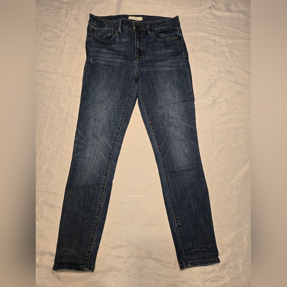 Anthropilogie Unpublished Skinny Jeans 29 Blue Stretch High‎ Rise